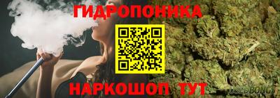 ГАЛЛЮЦИНОГЕННЫЕ ГРИБЫ Можайск