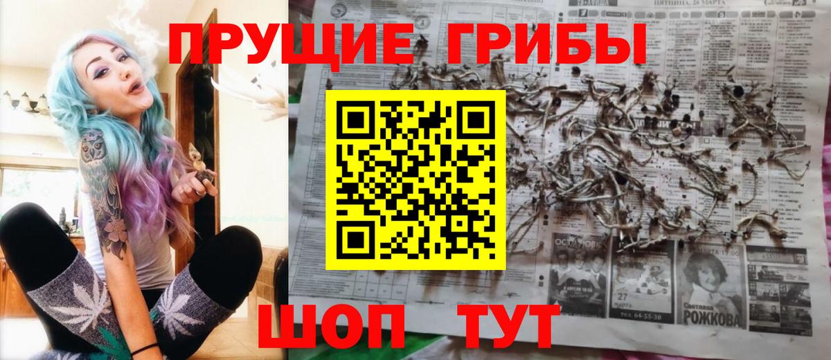 Галлюциногенные грибы прущие грибы  Вход с VPN  Чехов  Псилоцибиновые грибы GOLDEN TEACHER 