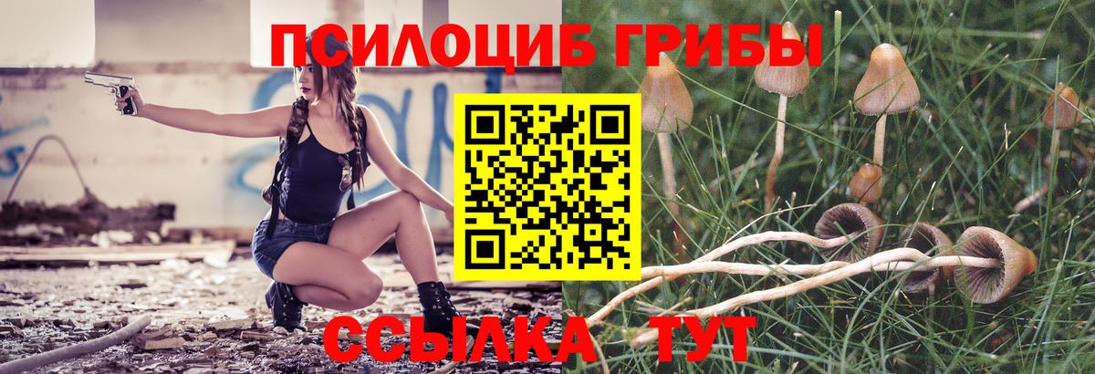 Галлюциногенные грибы Psilocybe Чехов